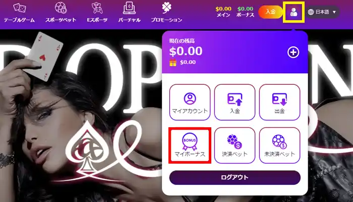 エースカジノ入金不要ボーナス登録方法5