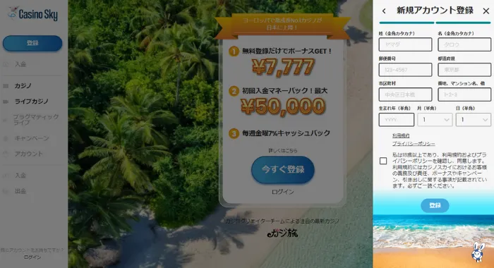 カジノスカイ(casinosky)ユーザー情報の登録画面