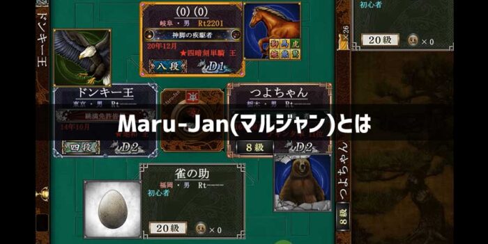 プロも賛成するMaru-Jan(マルジャン)を徹底解説！